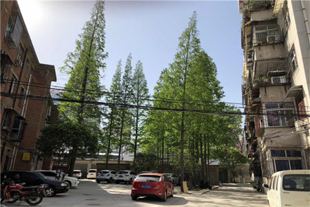 金龙大道旁大三房出售，精装修，拎包入住随时看房